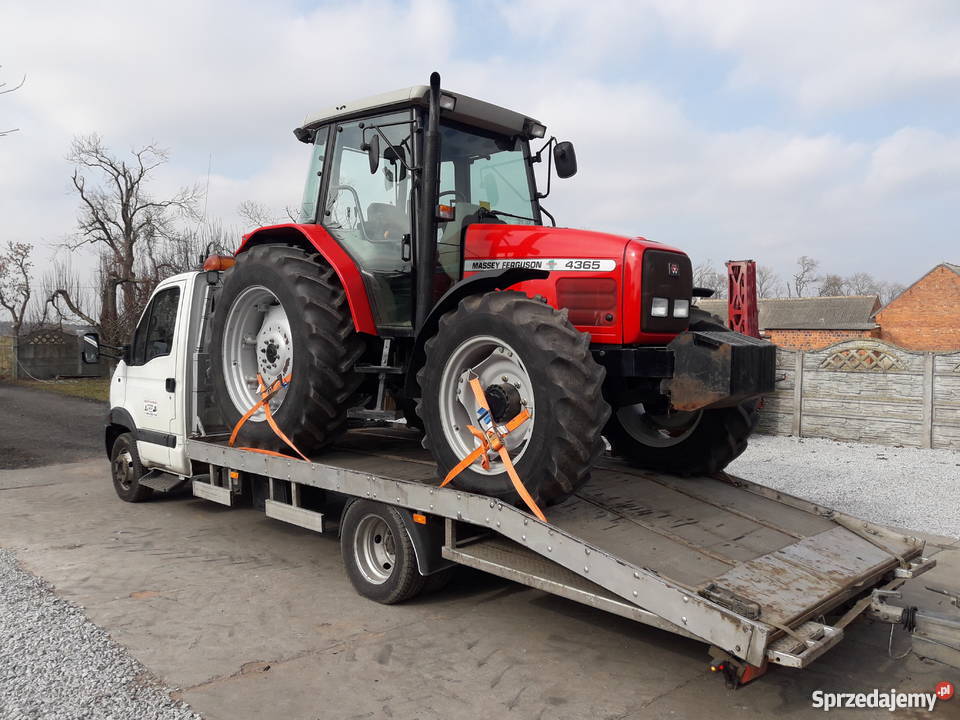 URSUS ZETOR FIAT FERGUSON TRANSPORT LAWETA nieuszkodzony łódzkie Złoczew