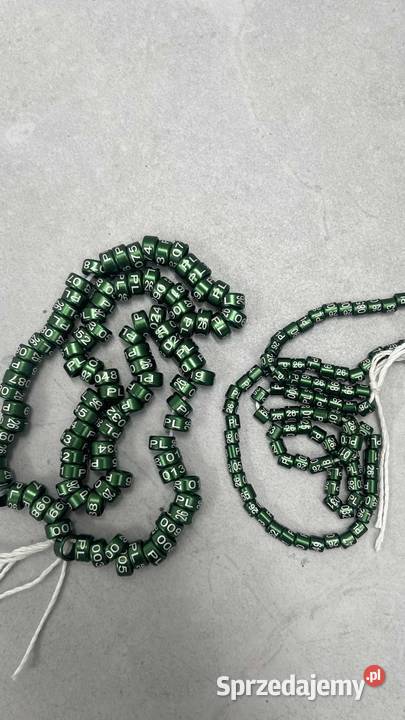 Obrączki drobnej egzotyki papug ptaków 2026