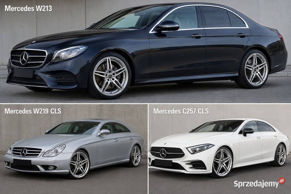 19 Mercedes w213 w218 w219 c257 koła felgi wielkopolskie Lubasz