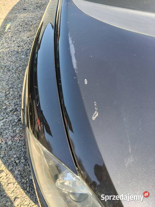 Seat Leon II 19 2 19 105 Leon Zielonki