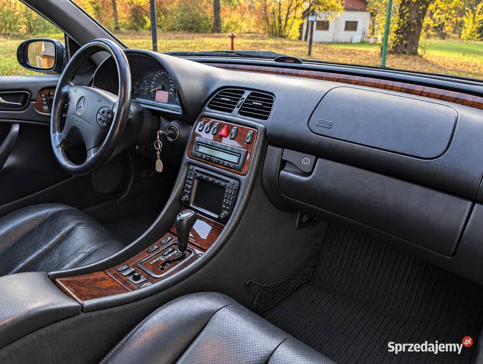 Mercedes Benz W208 CLK430 V8 Niedźwiedź