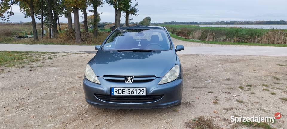 Peugeot 307 307 Szczucin
