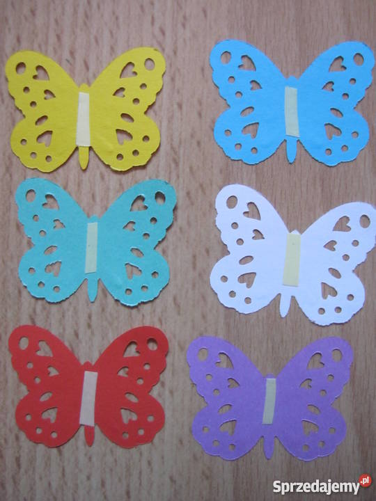 Ozdoby motylki Szczecin