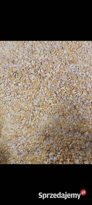 Kukurydza gnieciona pasza kur wysyłka Szerzyny