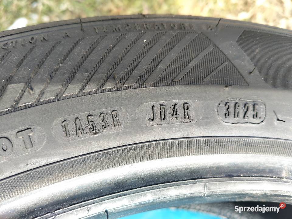 Sprzedam opony letnie Good Year 21555R17 98W Samochodowe wielkopolskie Gniezno sprzedam