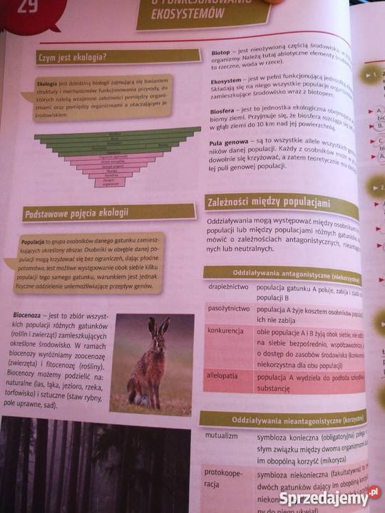 Organizer gimnazjalny przedmioty przyrodnicze Poznań sprzedam
