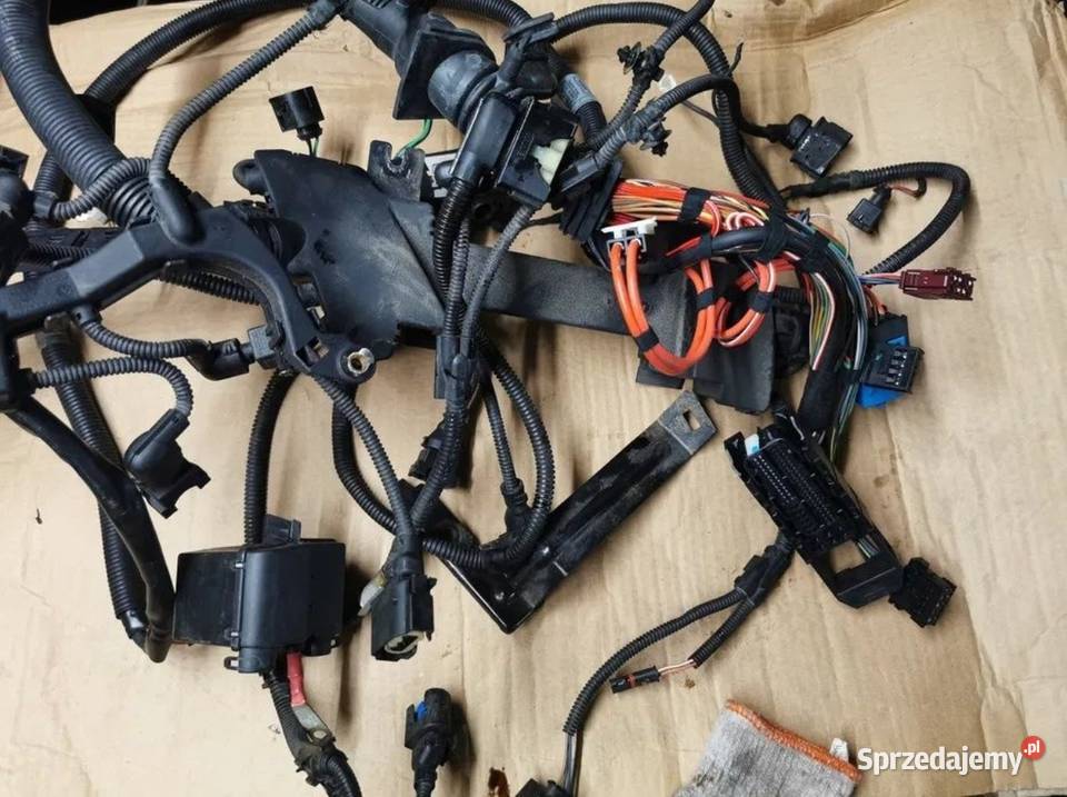 Wiązka silnika BMW E46 n42 Żory