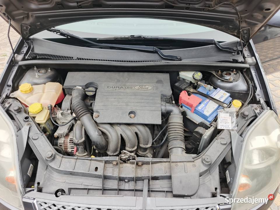 Ford Fiesta nieuszkodzony Kołobrzeg