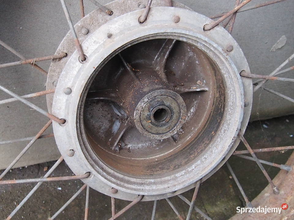 WSK KOS KOŁO świętokrzyskie