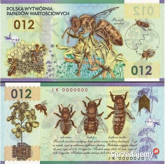 PSZCZOŁA MIODNA Banknot Testowy Polimer 012 PWPW Numizmatyka Sosnowiec sprzedam
