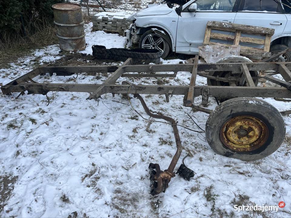 Rama Żuk zdrowa Studniska Dolne