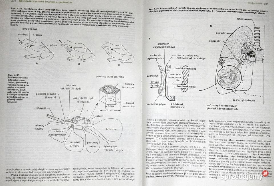 Biologia Wojciech Czechowski twarda Chełm
