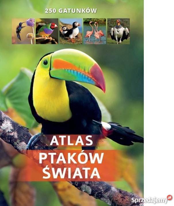 Atlas ptaków świata 250 GATUNKÓW przyroda, krajobrazy Warszawa