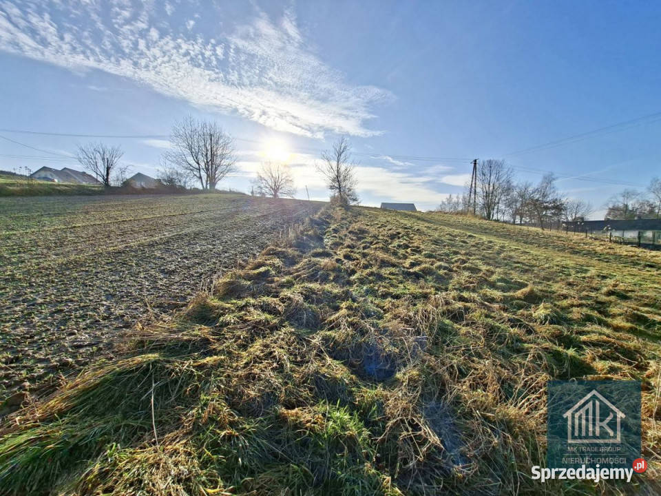 Grunt Szarów 1140m2