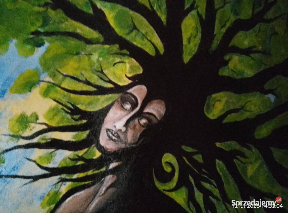 Driada 96 x 146 Gniewoszyce