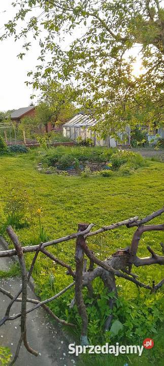 Sprzedam prawo do dzierżawy działki ROD w Relax 20m