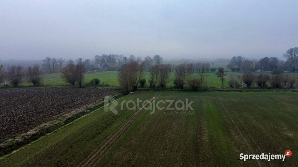 Grunt Drewnica Wierzbowa 3012m2
