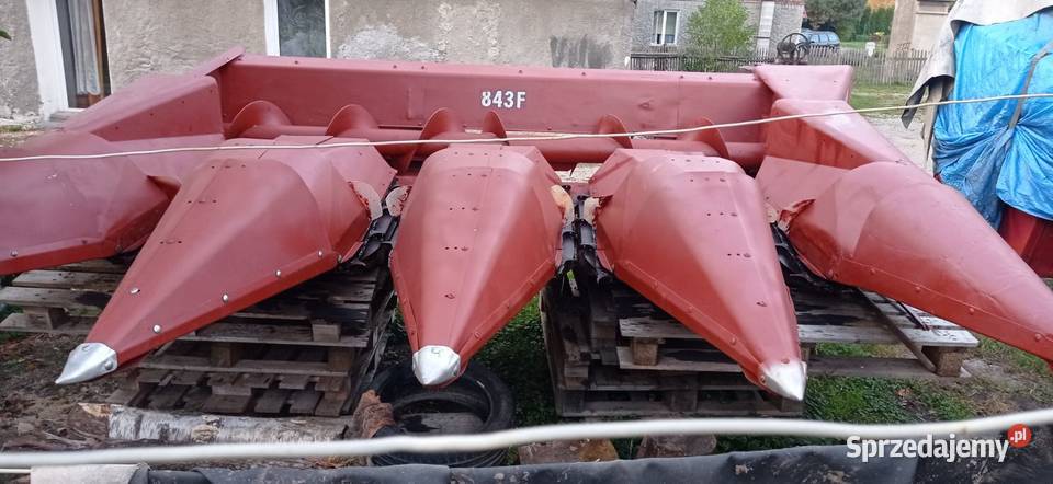 Heder do kukurydzy International 843f 4 rzędowy Case IH Parzyce