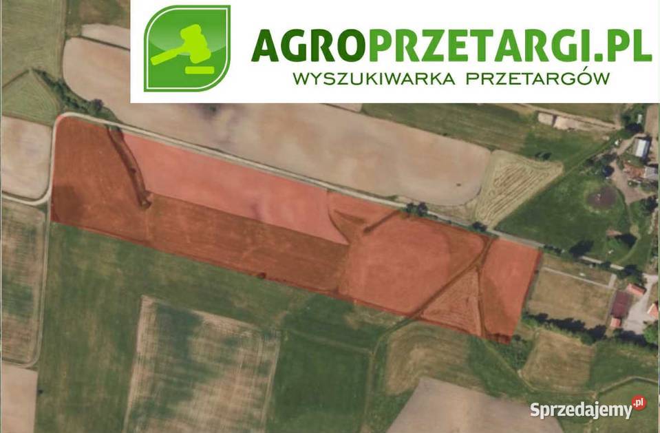 Dzierżawa 1862 ha gruntu rolnego 186200m2 podlaskie Augustów sprzedam