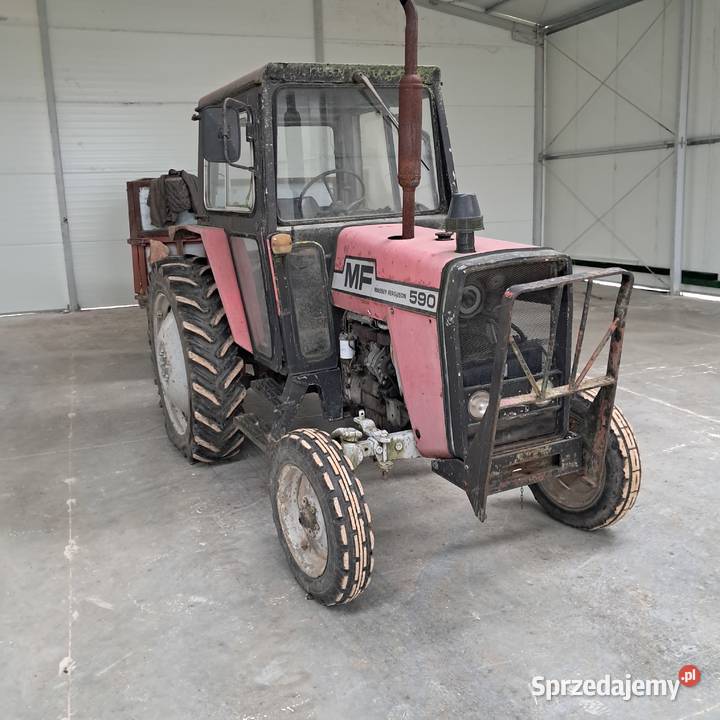 Massey ferguson 590 Ferguson Goleniów