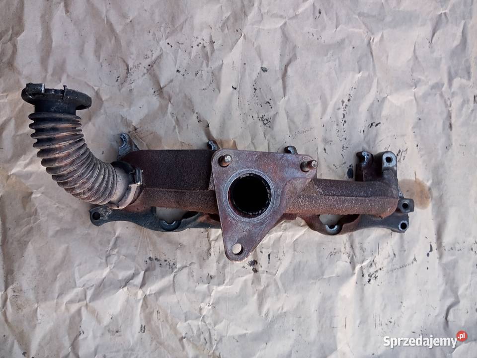 Kolektor wydechowy F9K 19 120 Laguna sprzedam