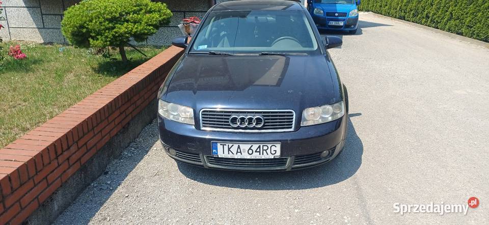Audi A4 2001 Motoryzacja Klimontów