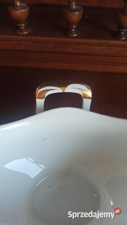 Rosenthal Josephine Selb Bavaria Anemony Syg z Gdańsk