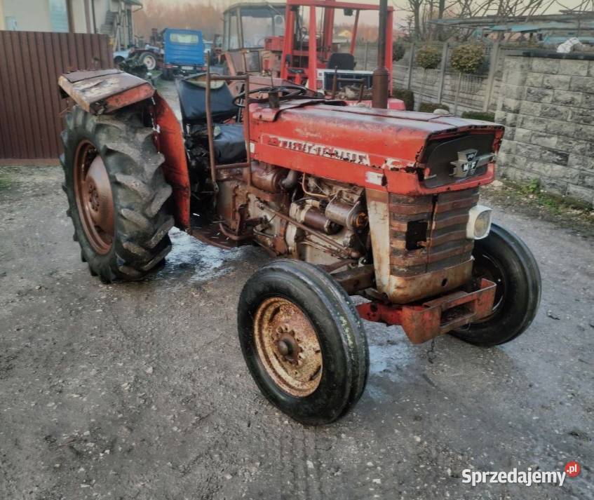 Massey Ferguson 148 MF świętokrzyskie Busko-Zdrój sprzedam