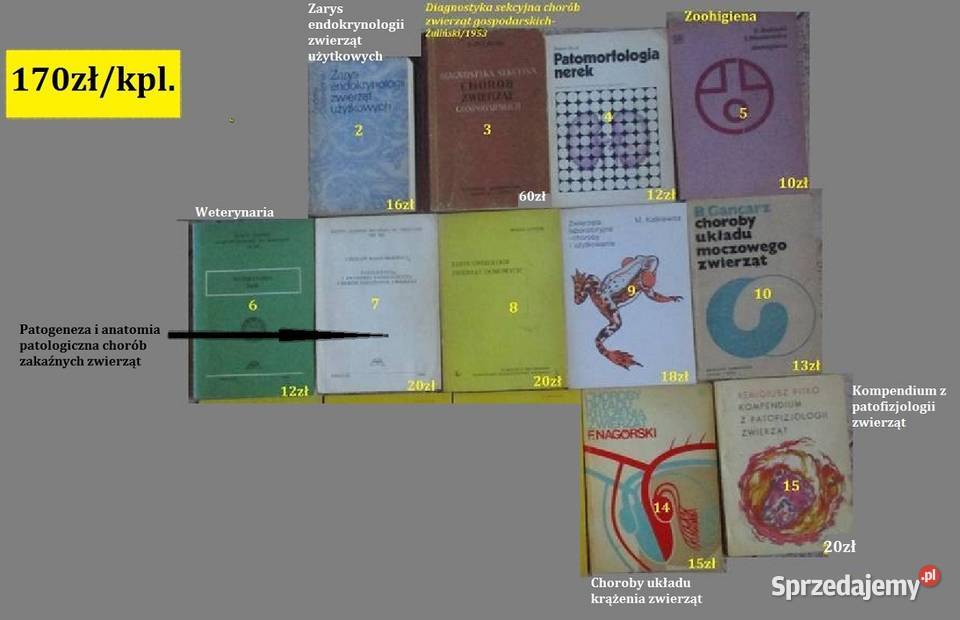 Hodowla pszczół Encyklopedia pszczelarska Łódź