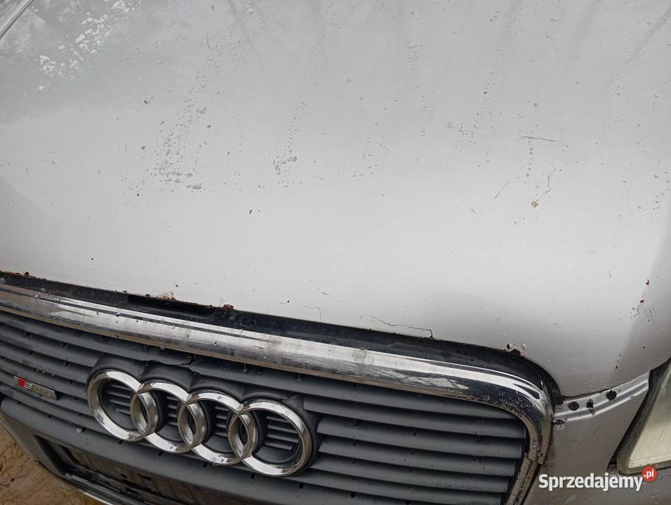 Audi A4 B7 30 TDI Rokietnica