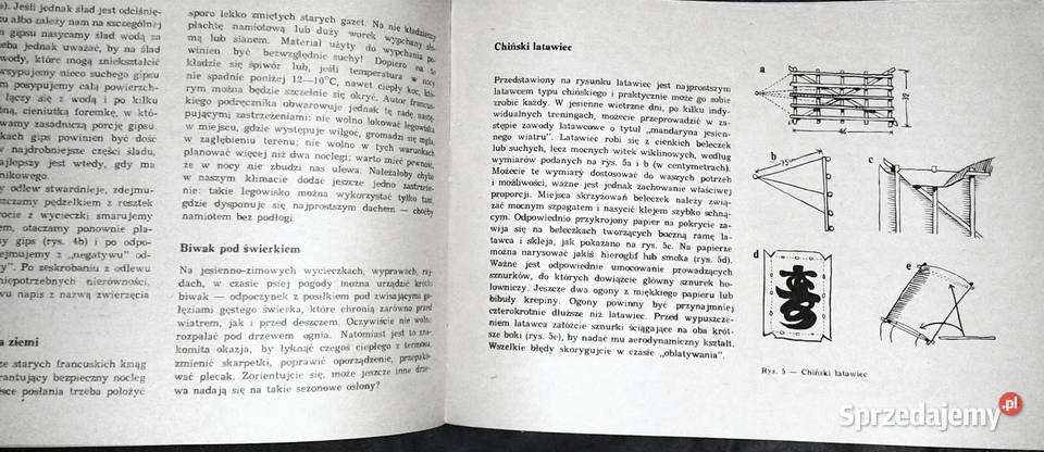 Zastęp zbiórka Jesień Jan Stykowski Pozostałe sprzedam