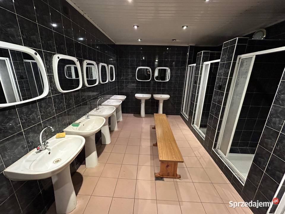 Wynajem hali Nieruchomości Aleksandria