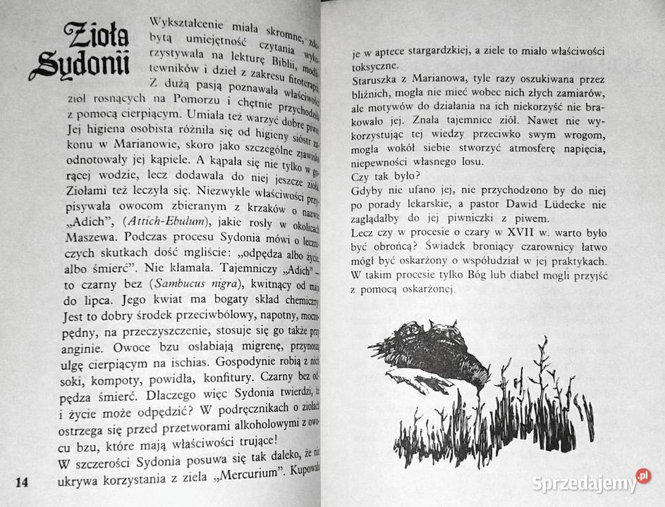 Sydonia Bogdan Frankiewicz Rok wydania 1986 Chełm