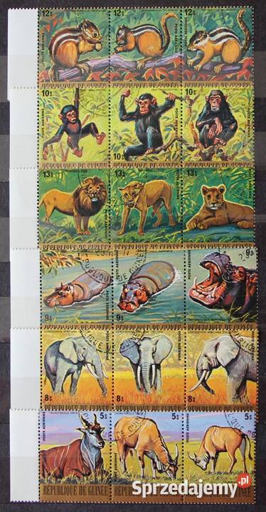 Gwinea fauna Afryki lotnicze