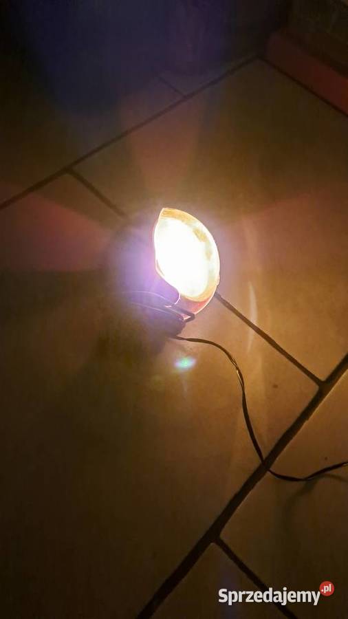 Lampka ostrzegawcza sam konesera