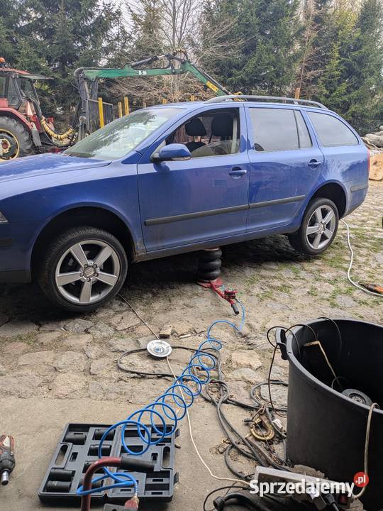 Skoda Octavia tdi Strzebielinko