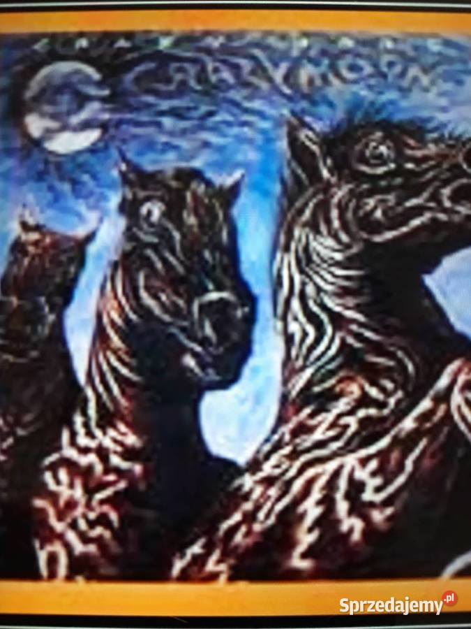 Archiwalne wykopaliska Classic Rocka CRAZY HORSE 1 płyta
