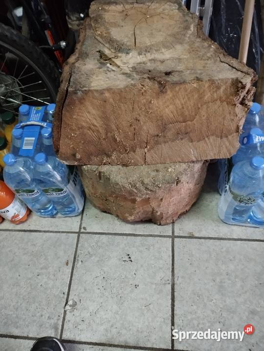 drewno drzewo na opal pieńki Opał Poznań