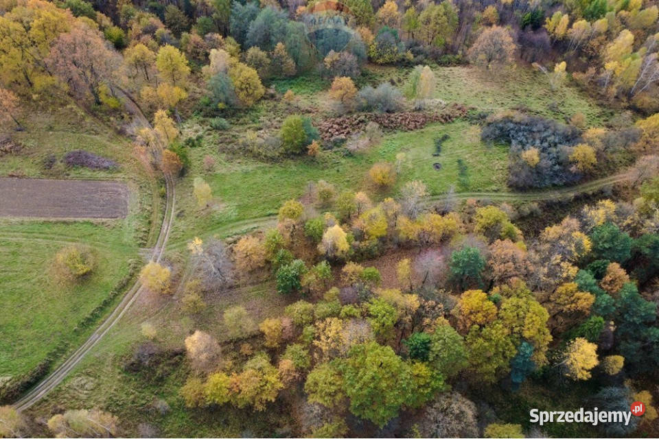 Działka leśna 862 m w Oczkowie Żywiec sprzedam