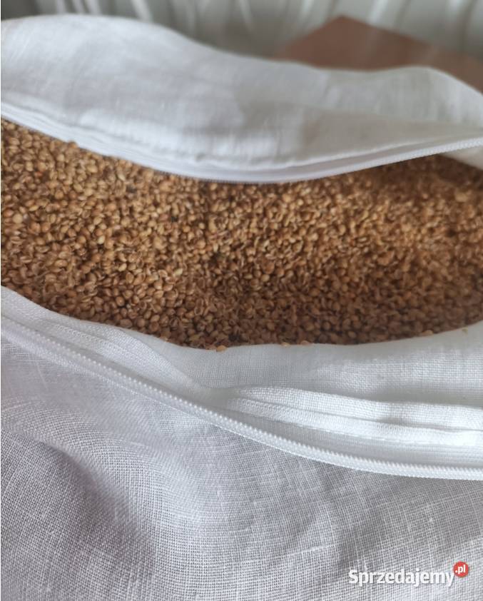 producenta poduszka na ból karku jasiek łuska Pozostałe Cieszyn sprzedam