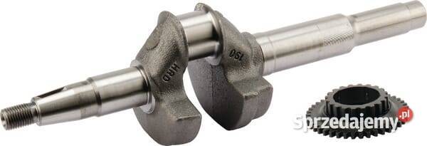 Wał korbowy 06131Z8DW50 Kamionna