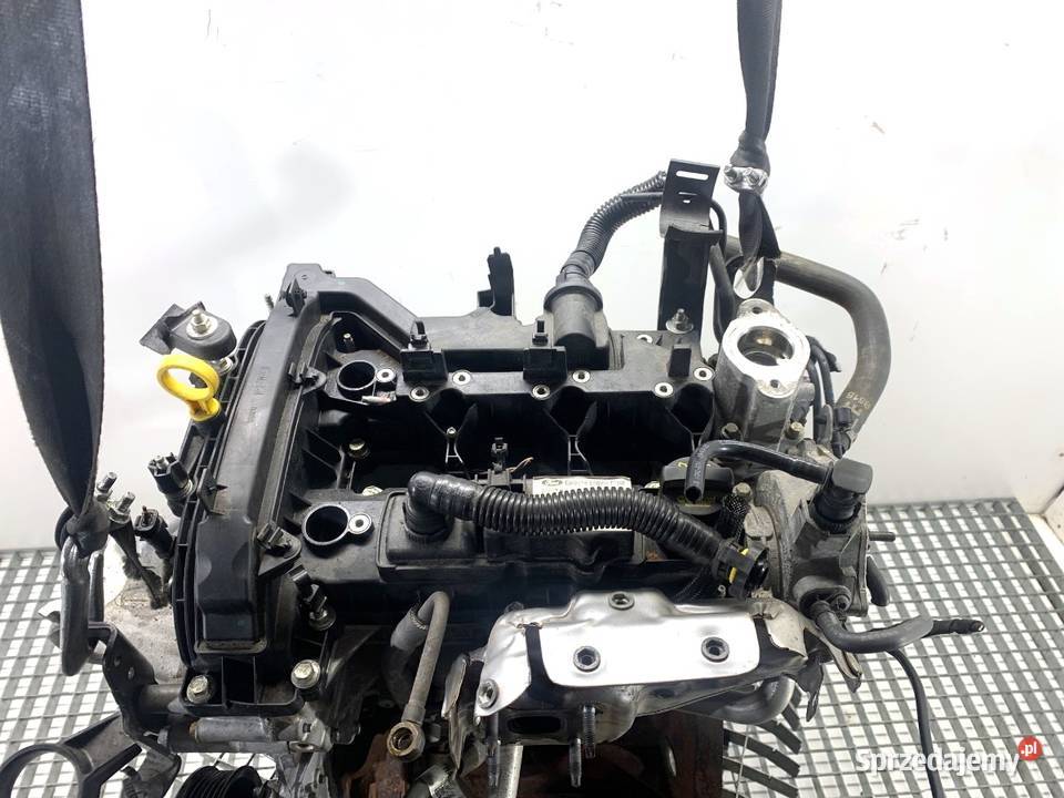 SILNIK FORD 10 125 M1JU ECOSPORT osobowe