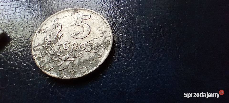 Stare monety 5 groszy 1949 PRL Polska destrukt Kolekcje podkarpackie Lesko