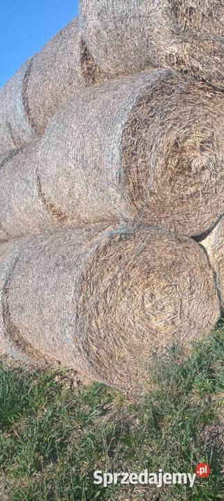 słoma bale Tuczno