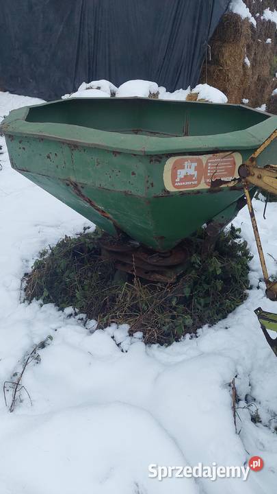 Rozsiewcz amazone Gętomie