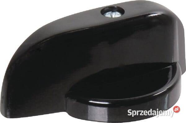 Przełącznik BL48 323101 Kamionna