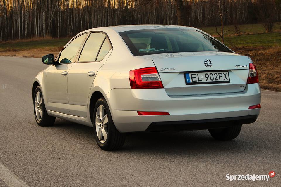 Skoda Octavia Salon Polska Benzyna Zarejestrowany w Polsce Pabianice