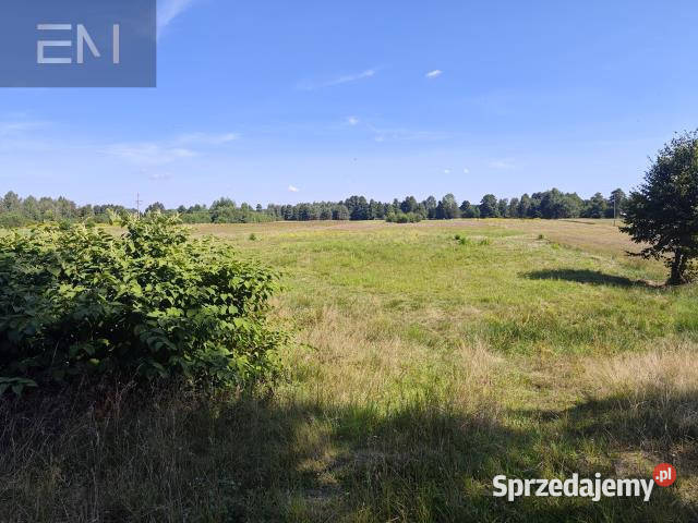Działka Wilcza Wola 6800m2 8zł/m2 sprzedam