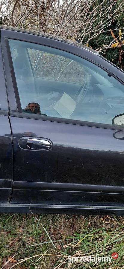 Drzwi prawe prawy przód Nissan Almera n16 kolor Karoseria Szczecin