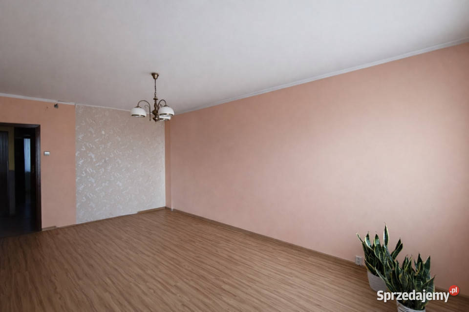 3 pok 2 piwnice Czeladź os Dziekana PROWIZJA 0 sprzedam